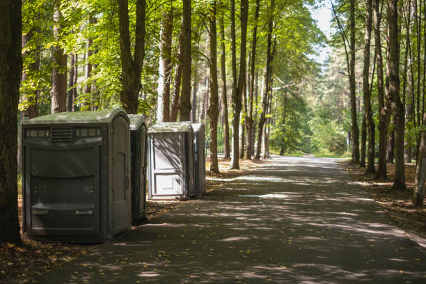 How Our Tree Care Process Works  in  Washington, NC